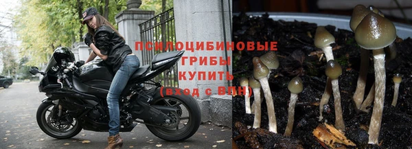 скорость Костерёво