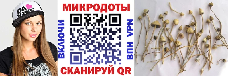 Купить закладки  Звенигово  Псилоцибиновые грибы прущие грибы 